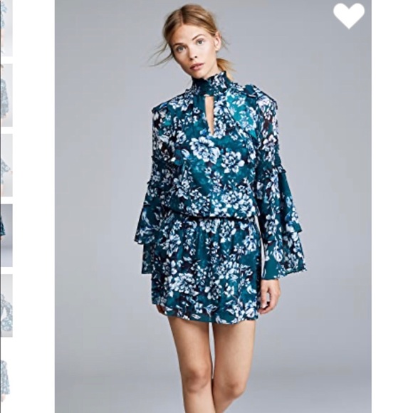 Parker Floral Mini Dress - Picture 2 of 8